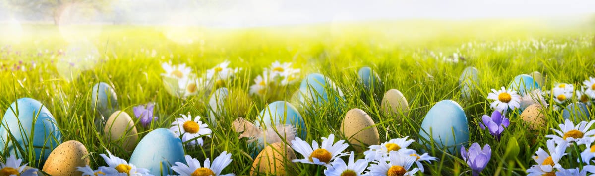 Easter Egg hunt in Weatherford